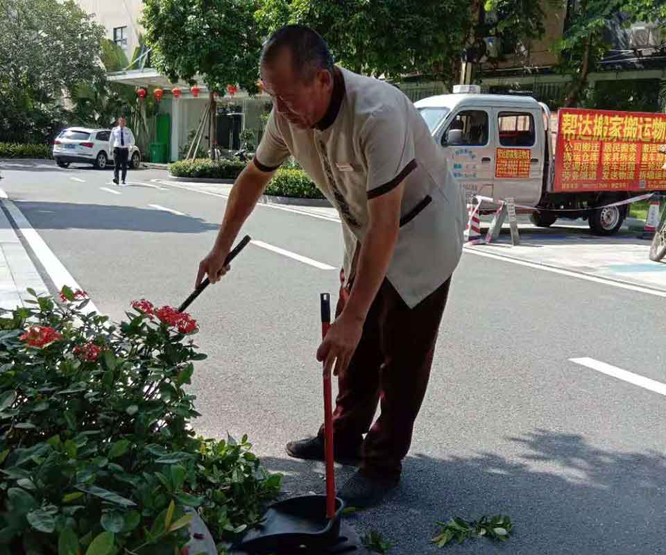項目圖片